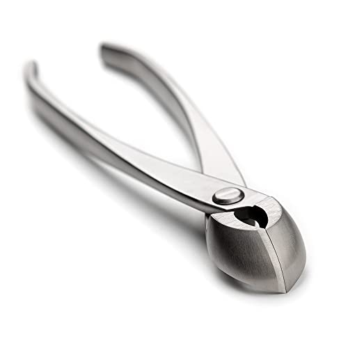 tianbonsai Professioneller runder Kantenschneider, 205 mm, Bonsai-Werkzeug aus legiertem Stahl, 4Cr13MoV