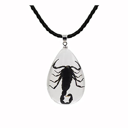 Black Scorpion Necklace Resin Necklace Bug Necklace Transparent Scorpion Pendant Real Black Scorpion Specimen Clear Necklace Scorpion Necklace for Women Men