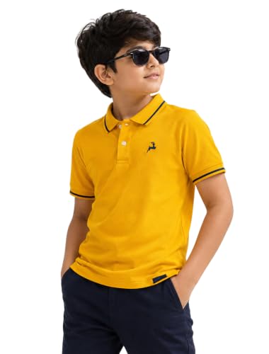 Image of Cloth Theory Boys Solid Polo T-Shirt | Cotton Half Sleeve Polo Neck Tee | Regular Fit Casual Shirt for Kids | Comfortable Everyday & Summer Wear | 2-3 to 15-16 Years