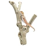 Apatal Reptile Branches for Climbing Natural Snake Climb Branch Extra Large Wood Forest Tree Trunk Decor Lizard Habitat Terrarium Decorations for Bearded Dragon Geckos Chameleon Frog