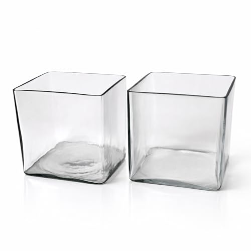 Image of KALAKRITI 5 Inch Clear Square Glass Flower Vase | Modern Cube Decorative Vase for Fresh, Artificial Flowers & Floral Arrangements | Table Centerpiece for Home, Office, Hotel & Restaurant (Pack of 1)