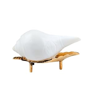 Samyuktha Jal Shankh mit Messingständer (9-10 cm)