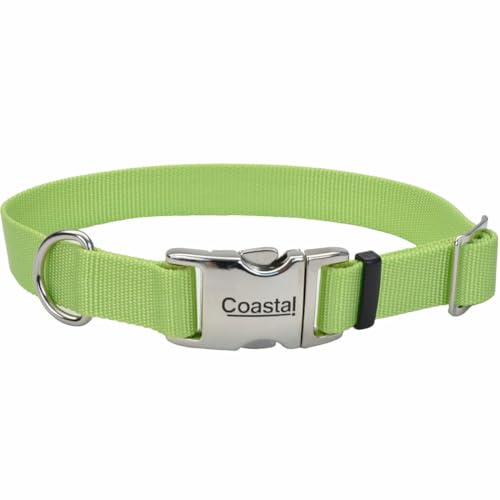 Coastal Pet Adjustable Dog Collar, Lime, 1