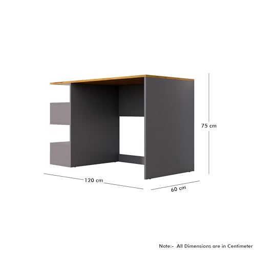 Image of Bniture Wooden Study Table for Home | Engineered Wood Study Table with Side Storage Shelf | Multi Purpose Computer Desk for Writing & Study | Laptop Table for Study Room | Slate Grey & Giant Wood