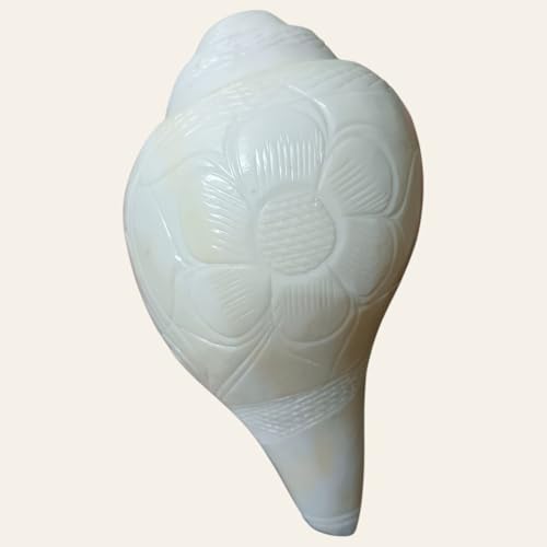 Image of Divine Harmony: Jellybean Retails Vamavarti Original Engraved Loud Blowing Shankh with Brass Stand|Conch For Pooja -(Size Guarantee - Quality Matters) (6 Inch With Brass Stand)
