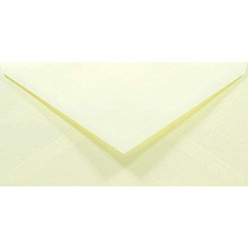 Netuno 1000 Cream Coloured envelopes DL 110 x 220 mm 4.33 x 8.66 in 80gsm Rainbow Decorative Envelope Colourful Long envelopes for Letters Flyers Business Cards Birthdays Weddings — image 1