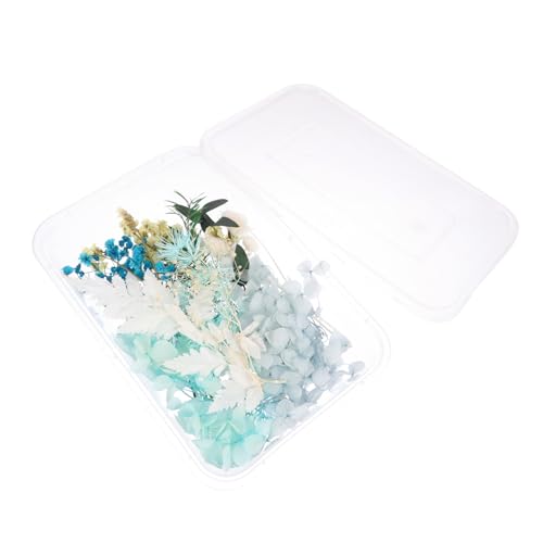 Kit DIY de flores secas prensadas para manualidades miniatura 7