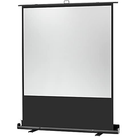 celexon Mobile Business- und Heimkino-Beamer-Leinwand Ultramobil Plus Professional tragbar Cover