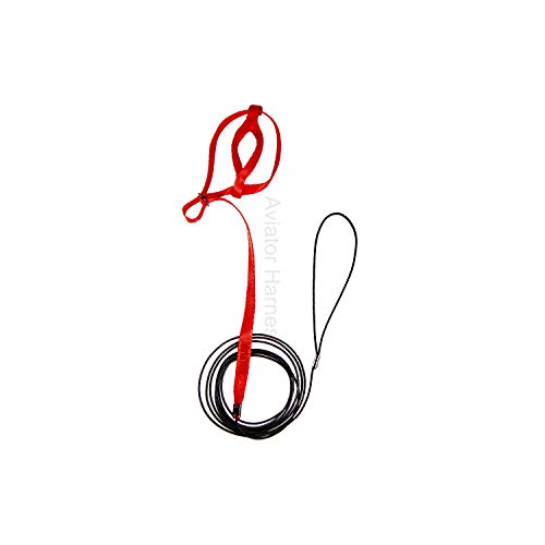 Image of The AVIATOR Pet Bird Harness and Leash: Mini Red