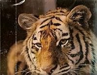 Great Game Animals Of The World B000CEPHTS Book Cover