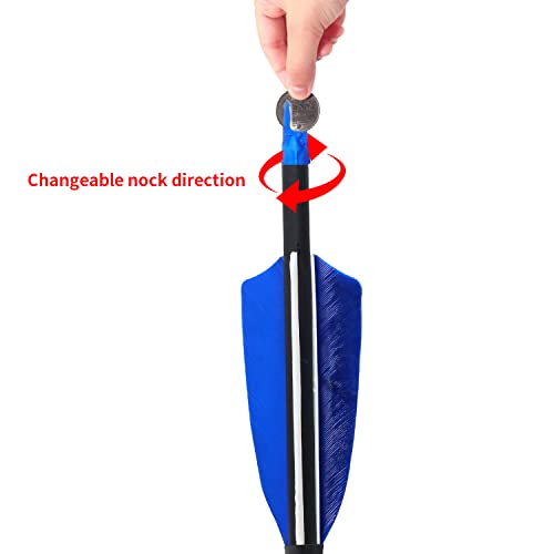 Fenjaner Archery 31'' Carbon Arrows Archery Target Practice Hunting Arrow With 4'' Natural Turkey Feathers Spine 500 For Recurve Bow And Compound Bow (Pack Of 12) (Blue) #TOP3