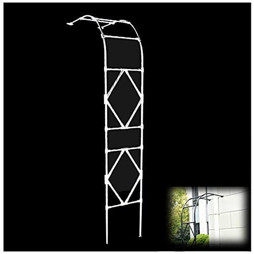 ϋv̂St[ōꂽό󐫂̂Ap̕ǂɎtꂽ[YEFCA[o[p[SOiFFATCYF240×60×40cmj