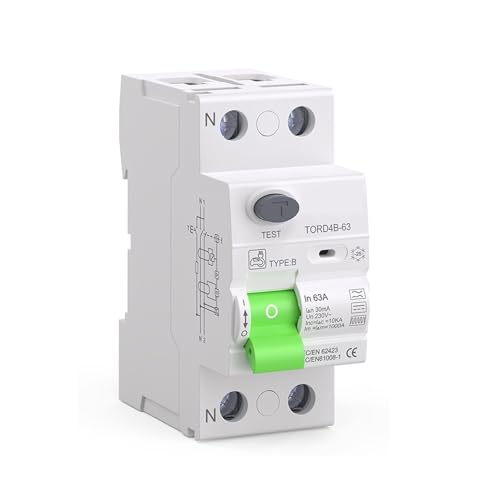RCCB RCD DC �d�C������ EV �[�d�p�C���c���d���u���[�J�[ 2P 63A 30mA �^�C�v B 10KA Din ���[���R�d����(2 Pole 100mA,16A)