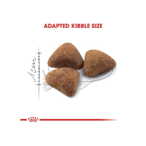 Image of Royal Canin Indoor 27 Home Adult Cat Food, Dry Food with Moderate Calories, Supports Stool Odour Reduction, 2 Kg