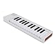 Arturia MicroLab Mk3 White - Midi Keyboard