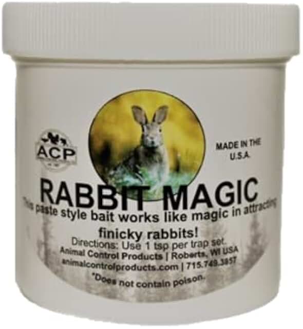 rabbit bait