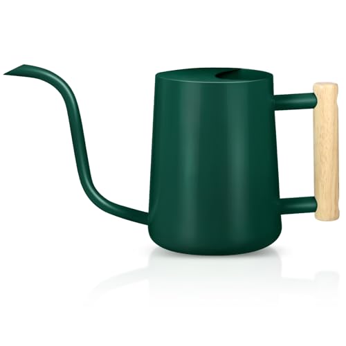 Watering Can Indoor Plants, 35oz Small Watering Can Stainless Steel Metal Watering Cans Modern Decorative Watering Pot with Long Spout for Indoor House Plant Bonsai Garden Flowers- Alpine green