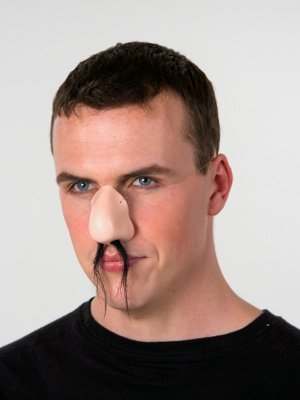 Preisvergleich Produktbild Festartikel Müller Hartplastik-Nase mit Langen Nasenhaaren