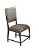 ACME Furniture Freira Bronze Fabric Side Chair (Set of 2), Antique Gray