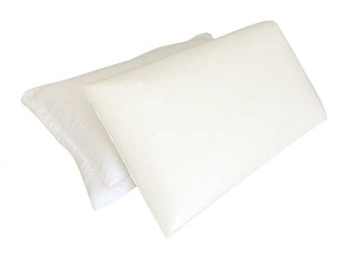 2X Solid Luxurious Memory Foam Queen Bed Pillows with Cream Down Alternative Cover Cases