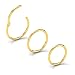18G 8mm(5/16'') Gold 316L Steel Hinged Clicker Seamless Segment Nose Ring Earring Tragus Daith Piercing(Sold Individually)