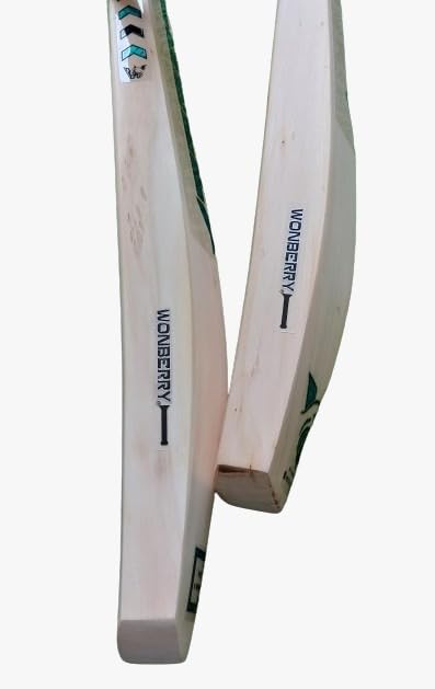 WONBERRY Ready to Play English Willow Cricket BAT Full SH Chrome (B0CJ6QP4TG) Amazon Price History, Amazon Price Tracker