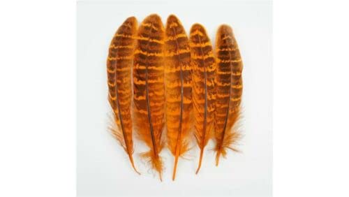 HoitoDeals 5Pcs Orange Small Pheasant Feathers for Clothes Peacock Feather Natural Feathers for Crafts Wedding Carnaval Assesoires 10-15cm