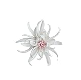 AMERRY 3D Handmade Porcelain Flower Wall Art Decor, 3D Ceramic Flower Wall Decor, Home Office Decor, Unique Gift for Home Office Decor,Girls (White,Yimi Flower, 2.76')