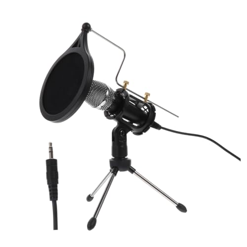 Microphone condensateur portable pour chanter au salon
