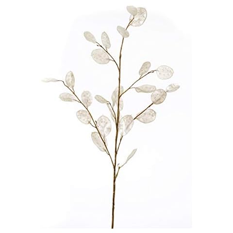 artplants.de Fake lunaria branch BUELNA, cream, 105cm - Faux leaf spray/Artificial honesty plant Cover