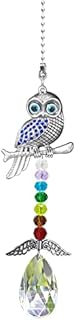 Owl Crystal Garden Hanging Drop Prism Pendant for Window Rainbow Maker Home Decor Sun Catcher Car Hanging Accessories Ornament (Owl)