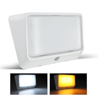 Obeaming RV LED Porch Light w/Switchable White Amber Light Color, 12V Exterior Utility Porch Light for Travel Trailer Camper Motorhome 5th Wheels, Integrated Switch & Waterproof (1-Pcs)