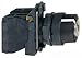 SCHNEIDER ELECTRIC XB5AG33 Selector Switch 230-Vac 2Amp X B5 Plus Options