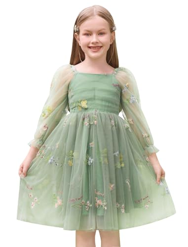 AWIBMK Kids Baby Girls Mesh Long Sleeve Birthday Princess Tulle Tutu Dress Square Neck Smocked Back Wedding Party Dress Green Embroidery Flower 5-6 Years
