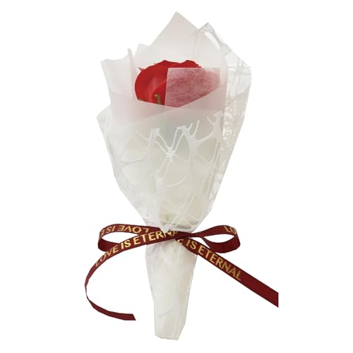 |s[É \[vt[ V{t[  Mtg v[g 1փu[P o ԑ 22cm Mtg{bNXt SBL-221 bh