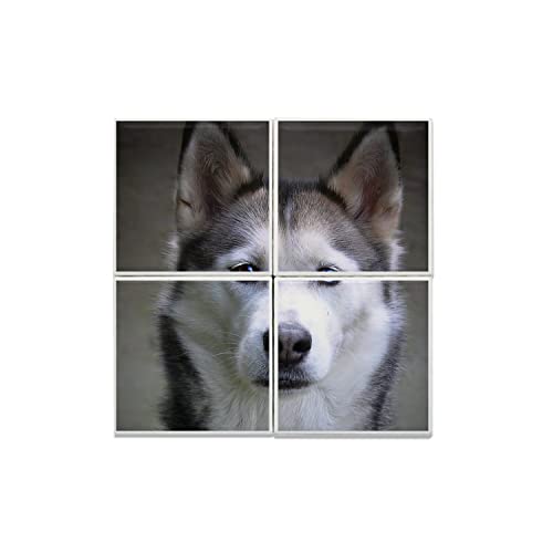 Carreaux céramique décoratifs husky pour créer un style chalet authentique