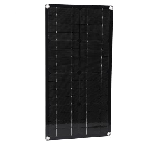 Panneau solaire monocristallin 100W MPPT haute performance IP65