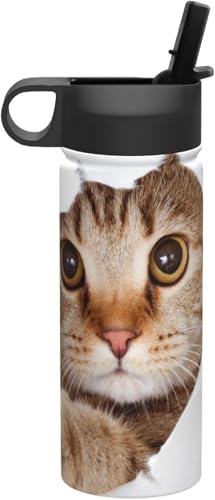  L L ʔ ˂  ^fM ۉ ۗ X|[c{g lC XeX{g X|[cΉ RȂ 530ml j̎q ̎q  v[g