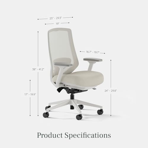 branch ergonomic chair pro