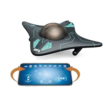 remote control fish with camera