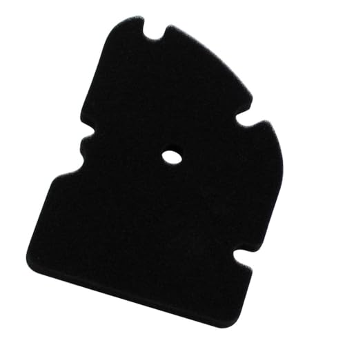 Filtre à air d'admission pour scooter GTS250 GTV300, élément filtrant pour X8 X9