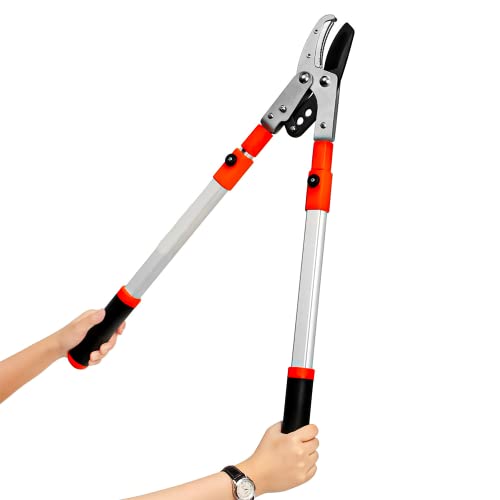 20 Top Rated Loppers Plus Best Fiskars Loppers ASTONSHEDSUK