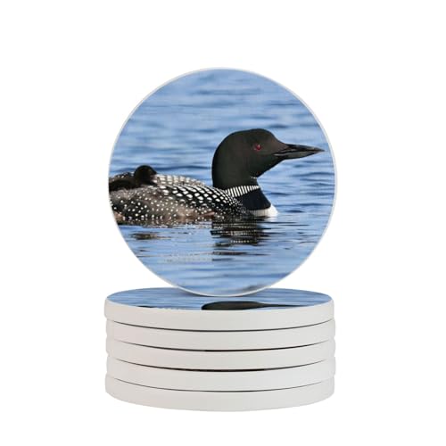 Sous-verres ronds en diatomite Loon Birds anti-trace d'eau table - 2