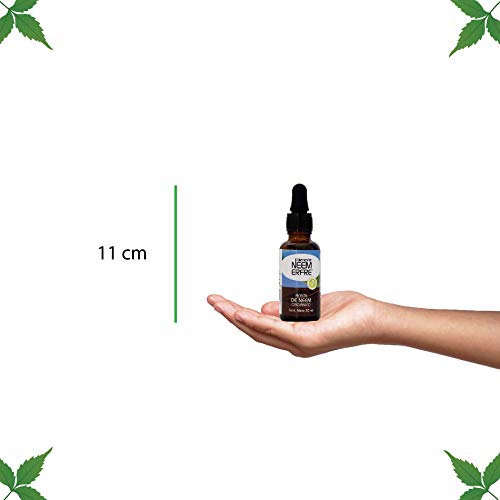 Cuidado Femenino, Guild Imagen adicional