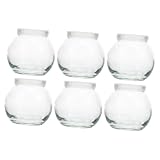 TOPBATHY 6 Piezas Tarro De Budín De Vidrio Mini Tarros De Budín Tarros De Leche Tazas De Postre Taza De Helado Botellas Con Tapas Llevar Recipientes De Comida Con Tapa Taza De Tiro Plastico