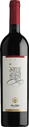 Sforzato di Valtellina DOCG Sfursat 5 Stelle Nino Negri 2020 0,75 ℓ