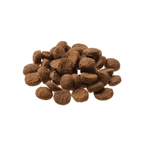 GranataPet Mini Royal Geflügel, Trockenfutter für Hunde, Hundefutter ohne Getreide & ohne Zuckerzusatz, Alleinfuttermittel für ausgewachsene Hunde, 1 kg