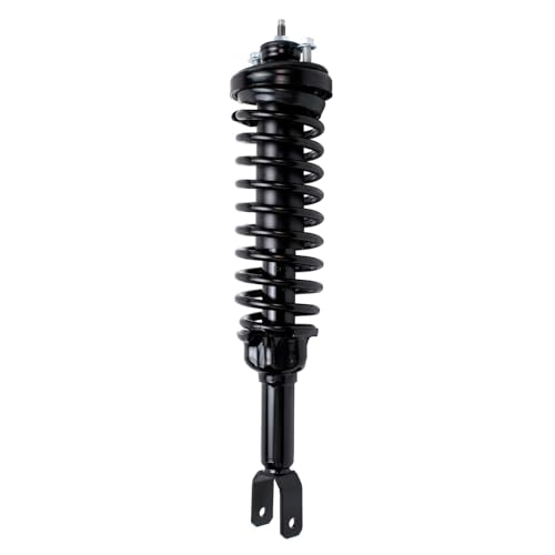 Image of Detroit Axle - 2 Rear Ready Struts for 1996-2000 Honda Civic 1997-2000 EL, Complete Struts & Coil Spring Assembly 1998 1999 Replacement Quick Install Ready Struts Shocks