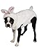 Bunny Pet Costume
