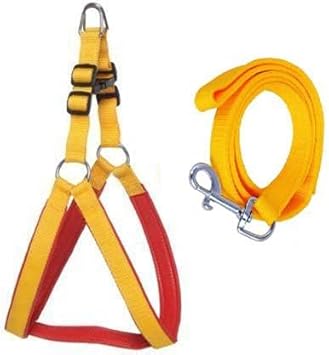 DYS Pets Yellow, Red Color Dog Body Cross/Dog Body Harness with Designer Yellow Dog Belt 143 cm lengthy (Medium, Yellow, Red)